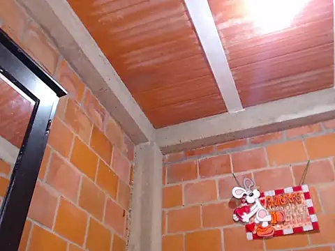 vergon3624 online show from 02.11.26