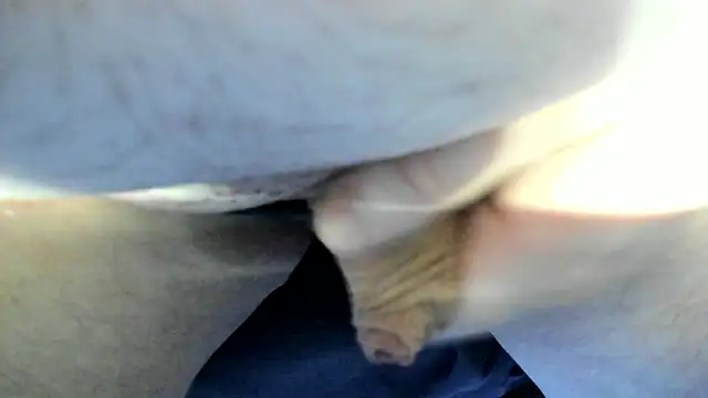 Snapshot of Big_Andiy chatting on 09.12.25 Big Andiy online show from 09.12.25