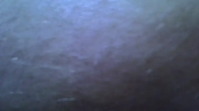 Snapshot of Mariomario0565 chatting on 12.28.24 Mariomario0565 online show from 12.28.24