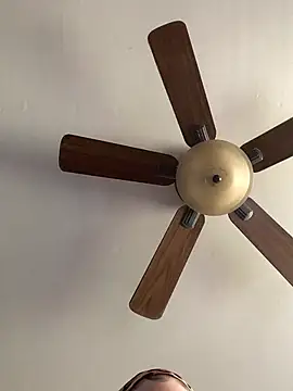 QueenNuttCollector online show from 04.12.26