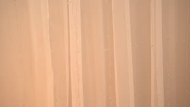 Poni DII online show from 01.14.26