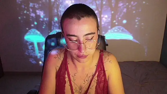 Liil cat online show from 02.22.25