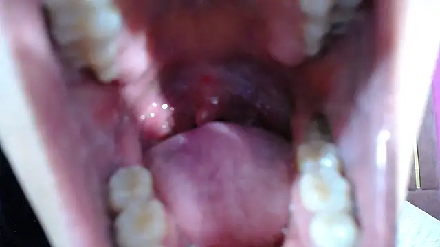 Chanel-24 online show from 01.03.25