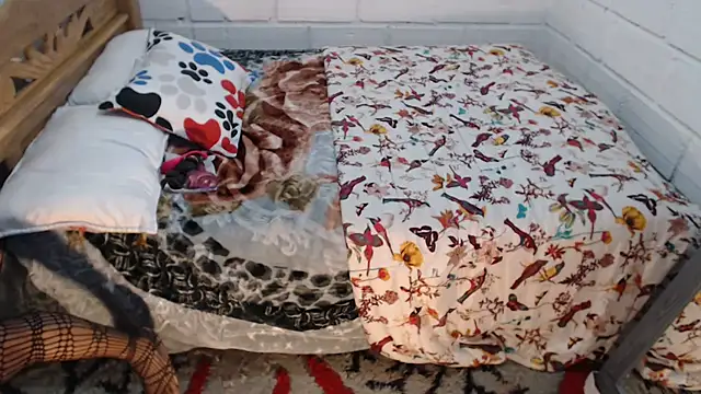 sexyjustin202 online show from 12.15.25