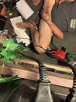 Likewise online show from 02.19.26