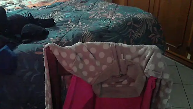 Snapshot of stellin chatting on 02.17.26 stellin online show from 02.17.26