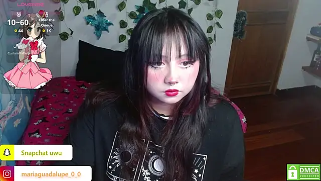 litlle cat online show from 01.14.25