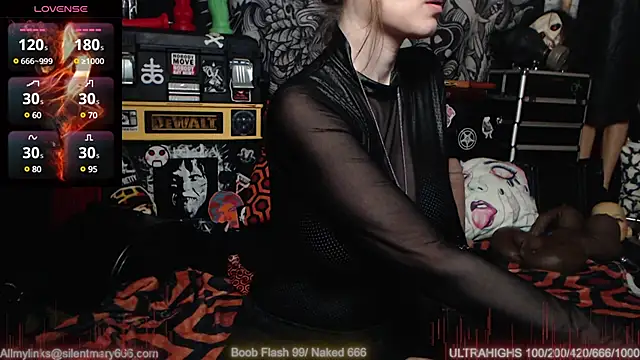 Silentmary online show from 02.27.25