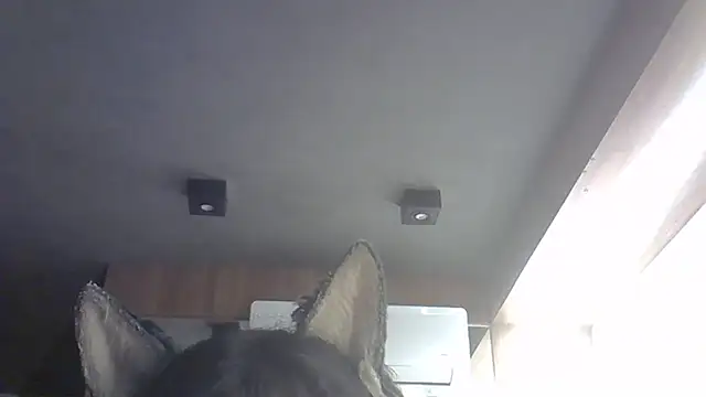 Skinny-Kitten online show from 02.14.26