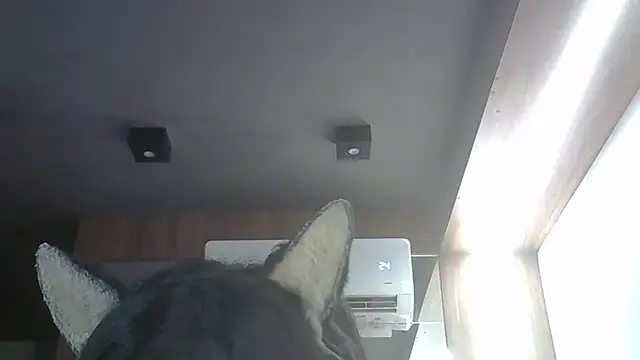 Skinny-Kitten online show from 03.21.26