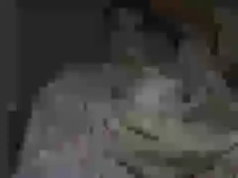 maxstelll online show from 02.24.26