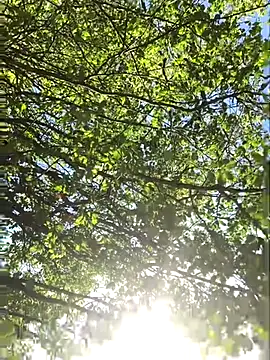 Snapshot of hottottrot691 chatting on 09.28.25 hottottrot691 online show from 09.28.25