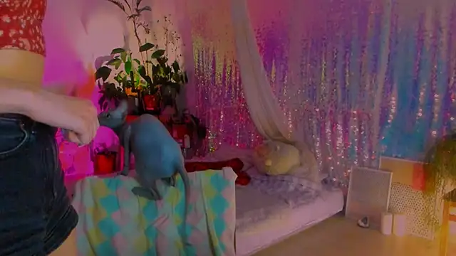 poli   online show from 02.06.25