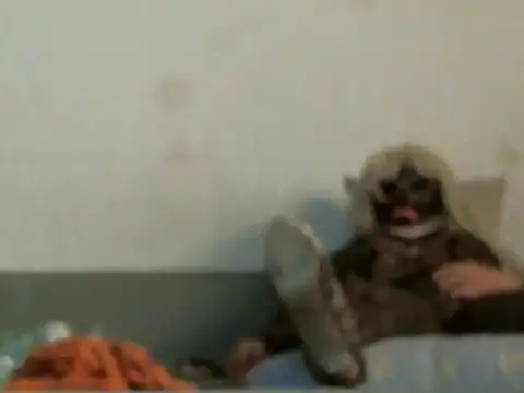 qwer1234 online show from 03.05.26