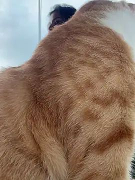 GigiiStone online show from 03.16.25