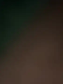 Snapshot of Terrafirma chatting on 02.16.25 Terrafirma online show from 02.16.25