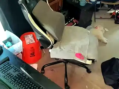 Daddysthick online show from 03.29.26