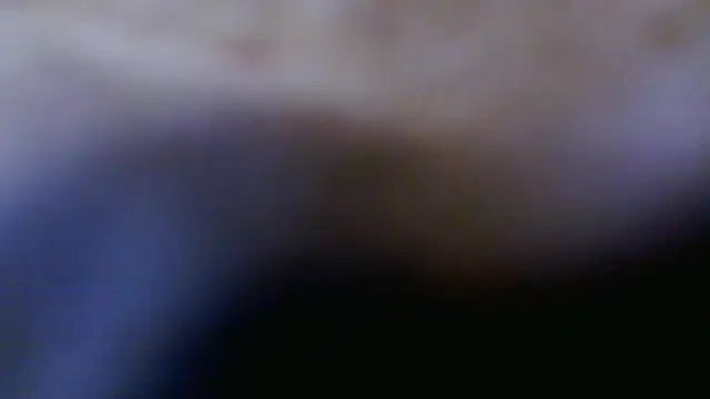 Taylorsexbot online show from 04.17.26