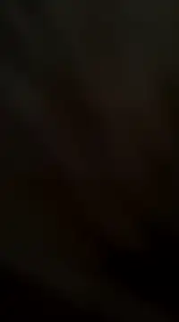 ft2022W online show from 02.02.25