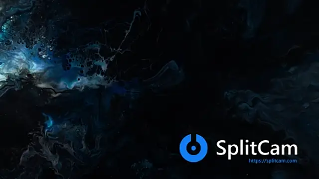 vanered2 online show from 11.24.25