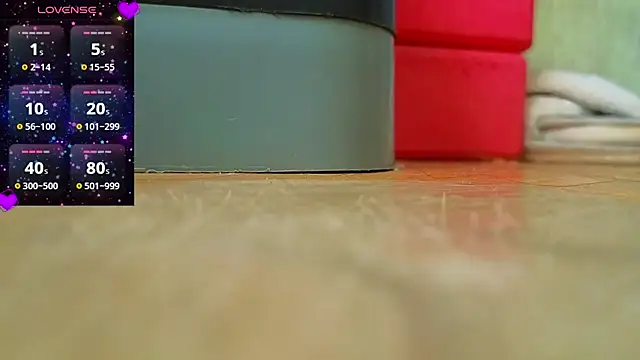 Miss Flexi fit online show from 02.10.25