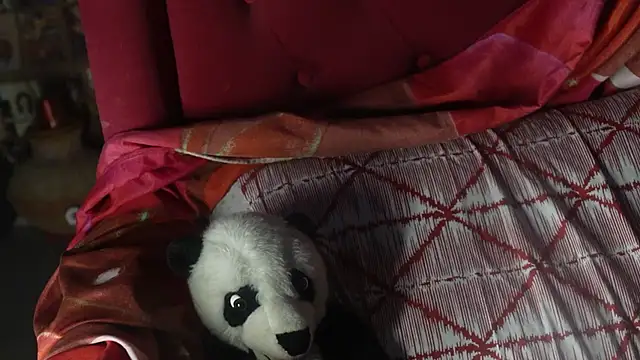 Snapshot of -AyeshaSinghania- chatting on 10.14.25 -AyeshaSinghania- online show from 10.14.25