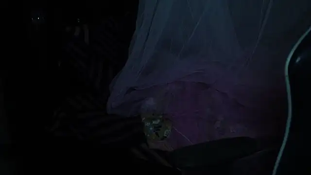 Snapshot of -AyeshaSinghania- chatting on 11.18.25 -AyeshaSinghania- online show from 11.18.25