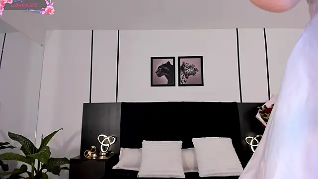 Doll troy online show from 02.19.26