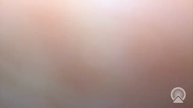 Aulonocara86 online show from 12.17.25