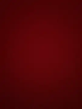 pamela anderson  online show from 12.18.24