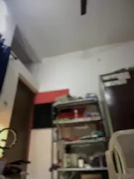 Snapshot of PARI_Hun chatting on 12.22.24 PARI Hun online show from 12.22.24