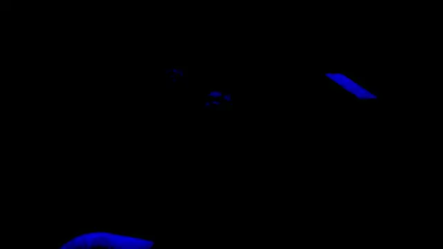 nzanizy online show from 01.31.25