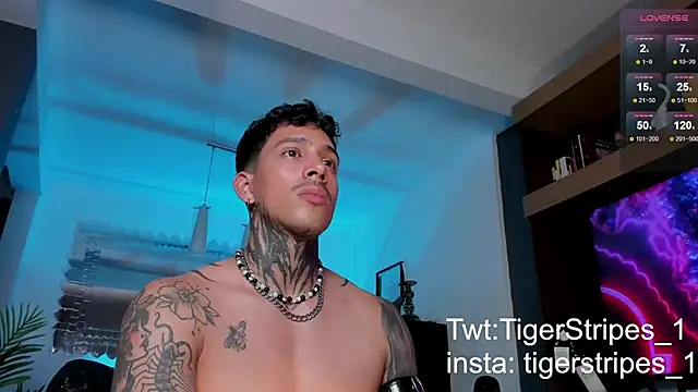 Snapshot of TigerStripes1_ chatting on 02.12.25 TigerStripes1 online show from 02.12.25