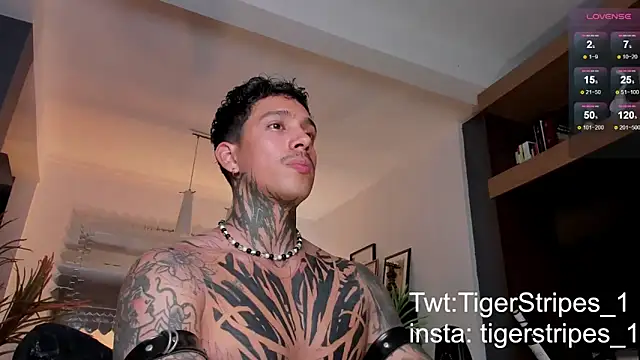 Snapshot of TigerStripes1_ chatting on 02.22.25 TigerStripes1 online show from 02.22.25