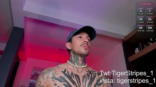 Snapshot of TigerStripes1_ chatting on 03.03.25 TigerStripes1 online show from 03.03.25