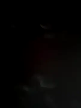 Snapshot of Diosn111 chatting on 12.04.25 Diosn111 online show from 12.04.25