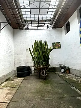 oliver price1 online show from 10.27.25