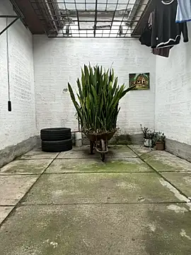 oliver price1 online show from 11.13.25