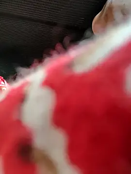 Kolkata   Boy online show from 11.16.25